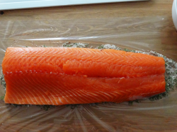cured salmon recipe